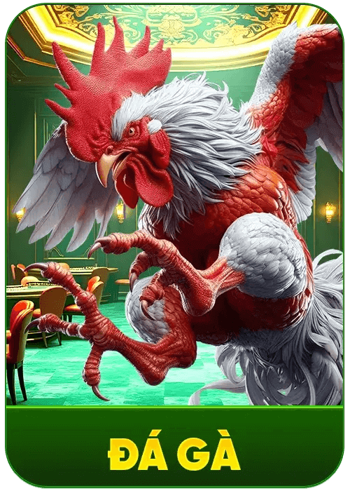 Ev88 – Thương Hiệu Cá Cược Đẳng Cấp Thượng Lưu 2025 10 ev88 game